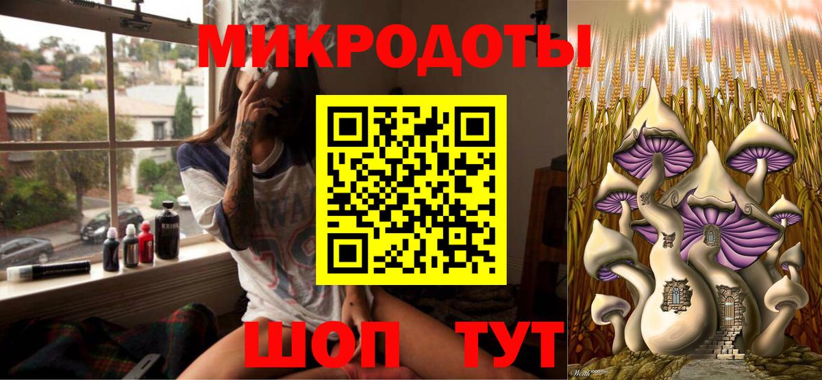 Псилоцибиновые грибы Psilocybine cubensis Междуреченск