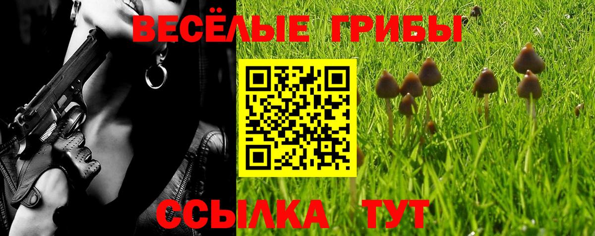 Галлюциногенные грибы прущие грибы  Псилоцибиновые грибы Psilocybe  Междуреченск  как найти закладки  Вход с VPN 